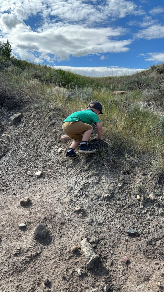 Drumheller Badlands