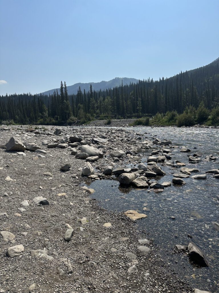 Elbow falls