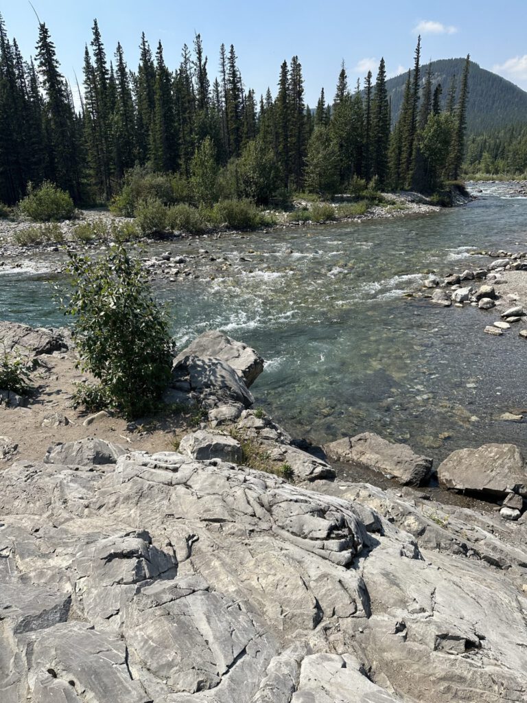 Elbow falls