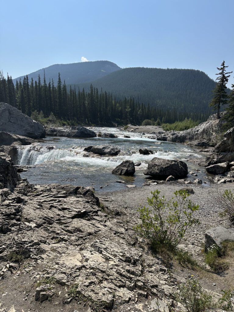 Elbow falls